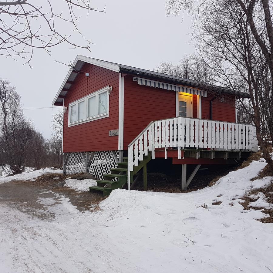 Hotel Camp Saltstraumen-Elvegard Bodø Exterior foto