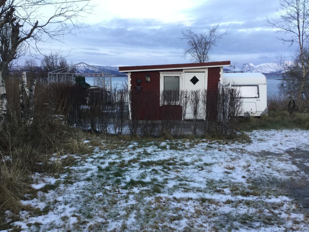 Hotel Camp Saltstraumen-Elvegard Bodø Exterior foto